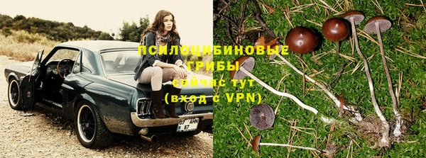 прущий лед Балахна