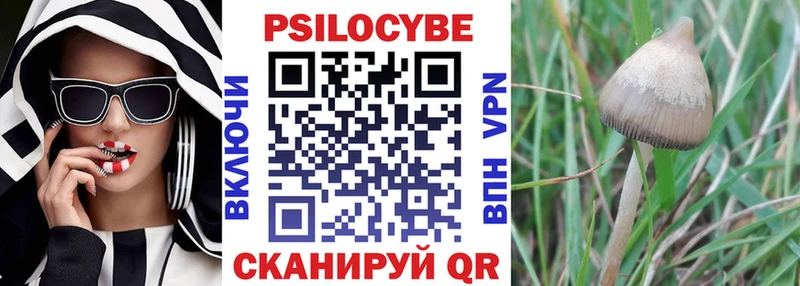 цена наркотик  Нюрба  Псилоцибиновые грибы Cubensis 